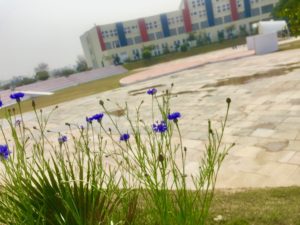 Dormitory - King's College India